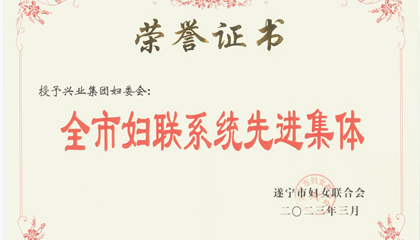 喜報(bào)!興業(yè)集團(tuán)婦委會(huì)榮獲“全市婦聯(lián)系統(tǒng)先進(jìn)集體”榮譽(yù)稱號(hào)