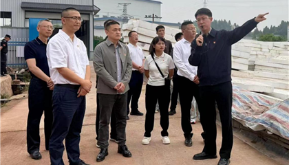 興業(yè)集團(tuán)黨委開展“黨建引領(lǐng)聚合力 攻堅(jiān)克難顯擔(dān)當(dāng)”主題黨日暨現(xiàn)場(chǎng)教學(xué)活動(dòng)